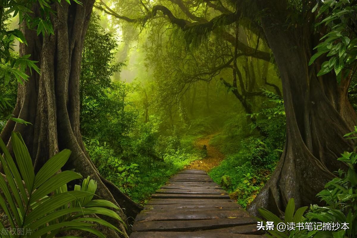 2012年12月英语六级真题,英语短语大全归纳四级