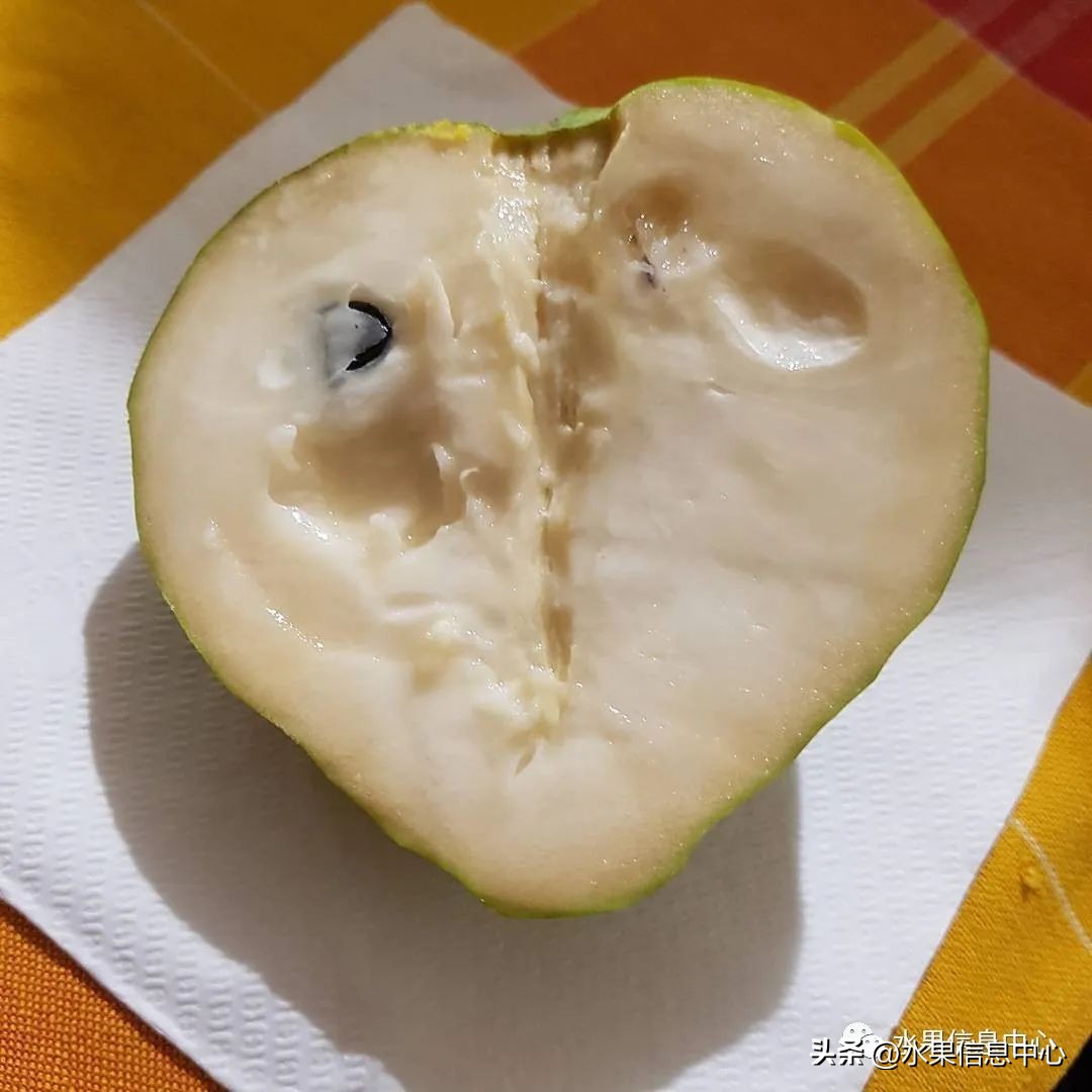 榴莲释迦又叫什么,释迦图片高清大图