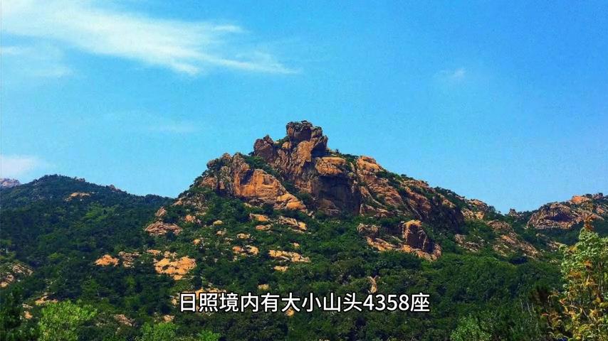 日照蓝莓产地在哪里,日照蓝莓之乡图片