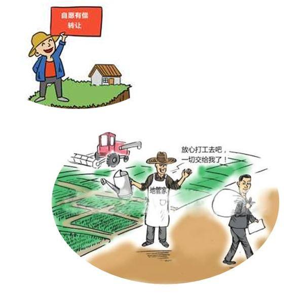 土地流转承包法,土地承包法关于土地流转的规定