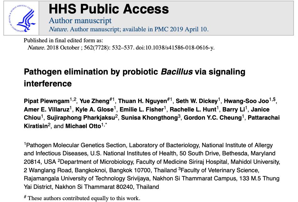 芽孢杆菌被你忽视的益生菌之王,芽孢杆菌抑制有害菌
