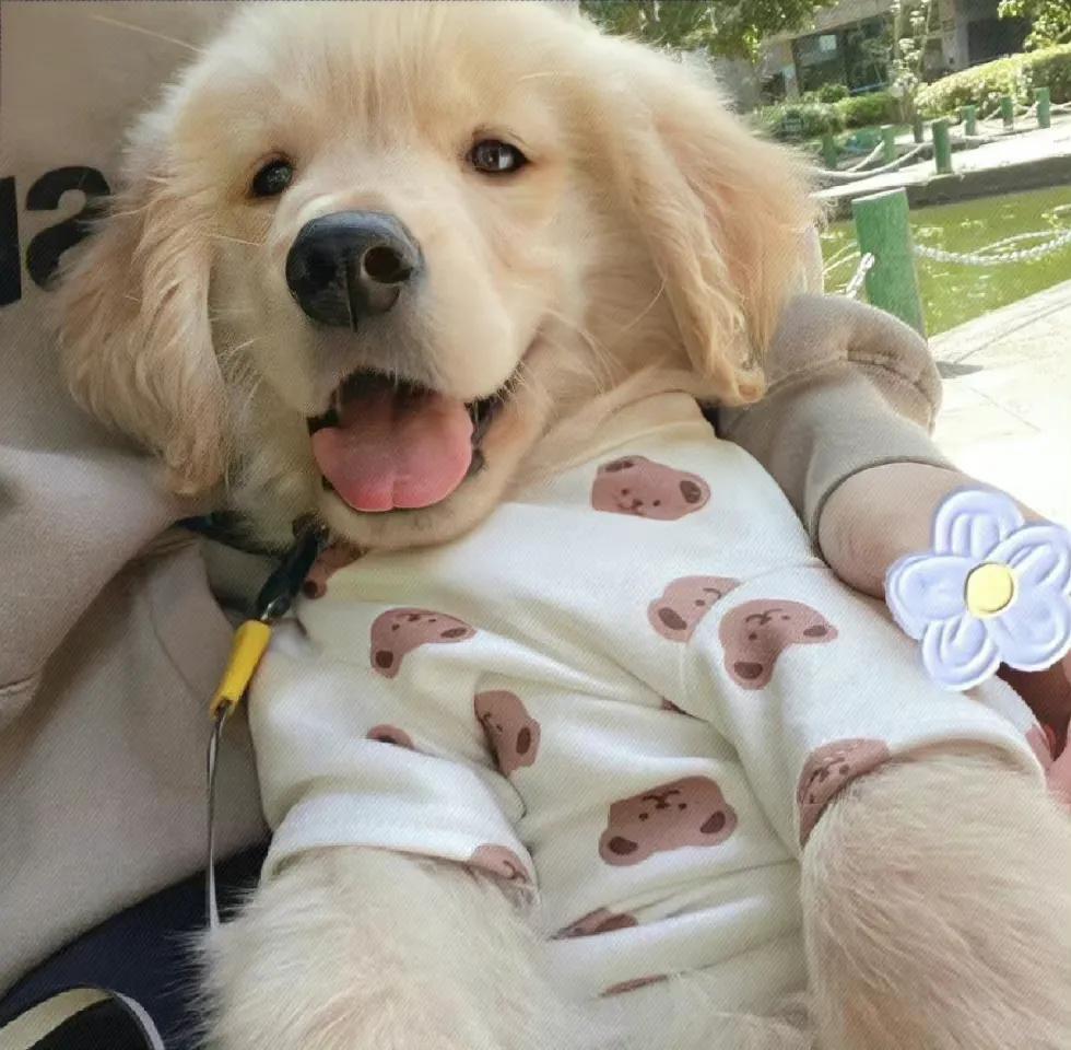 没事早点睡有空多挣钱背景图,多挣钱少生气的背景图