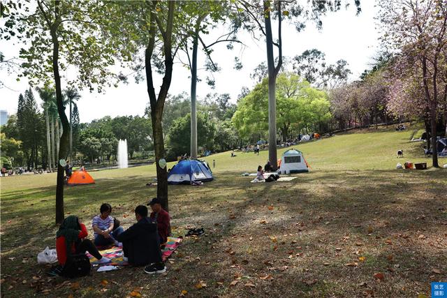 广州风景好又安静的地方推荐,广州最幽静的景点