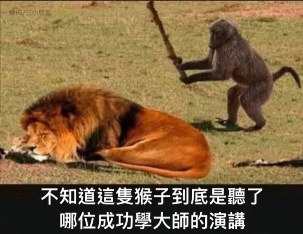 这摄影师是个抓拍鬼才|冷段子2068