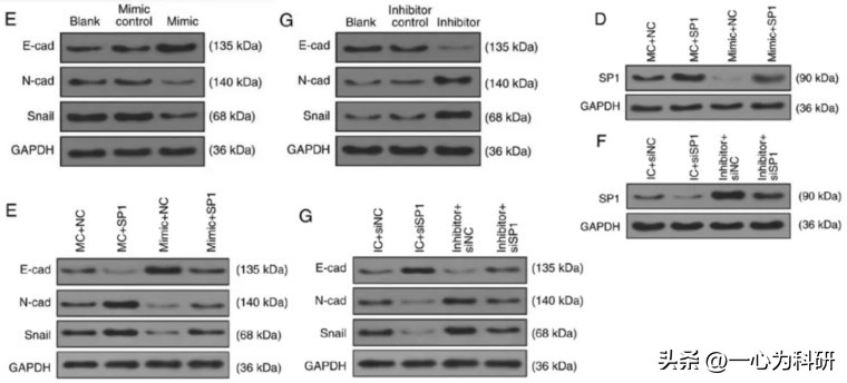解放军161师医院,解放军161医院