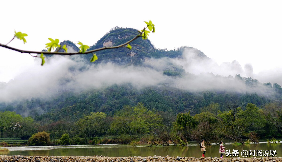 丹青呈万象翰墨耀千秋,丹青呈万象翰墨颂千秋