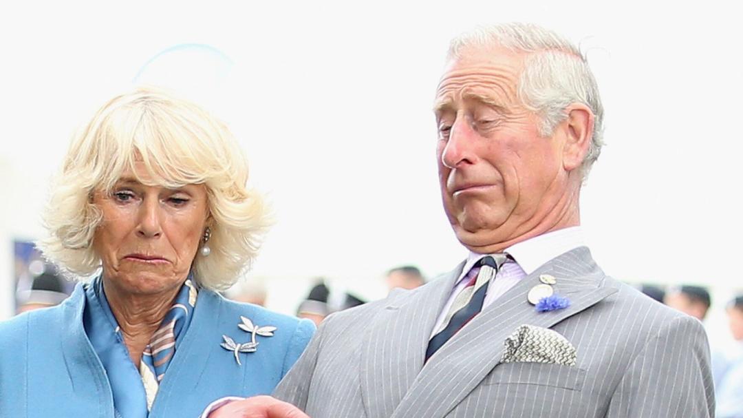 卡米拉气质逆袭不输戴安娜,卡米拉微笑回应凯特