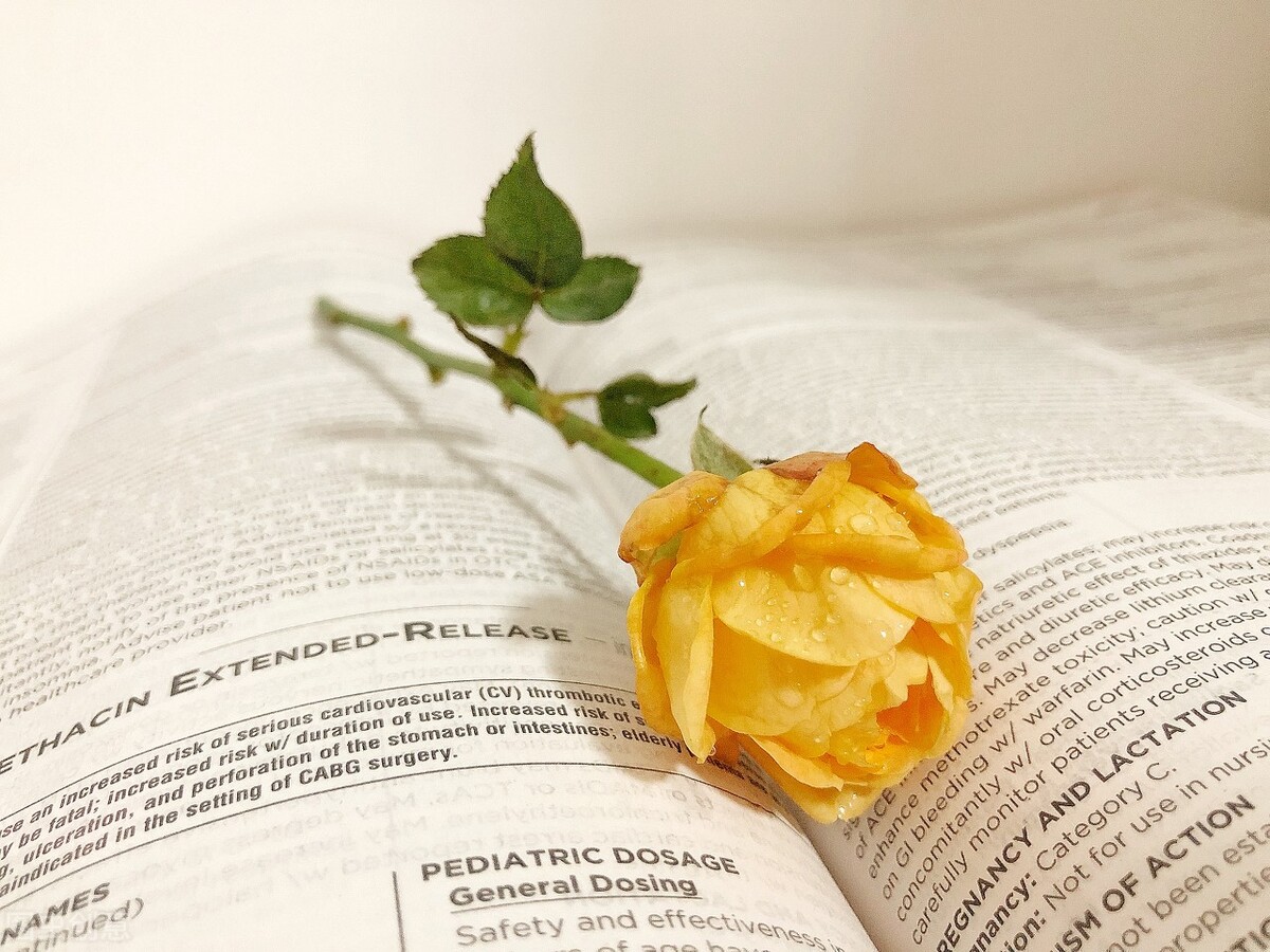 商家外卖差评影响有多大,外卖商家差评会带来怎么样的影响