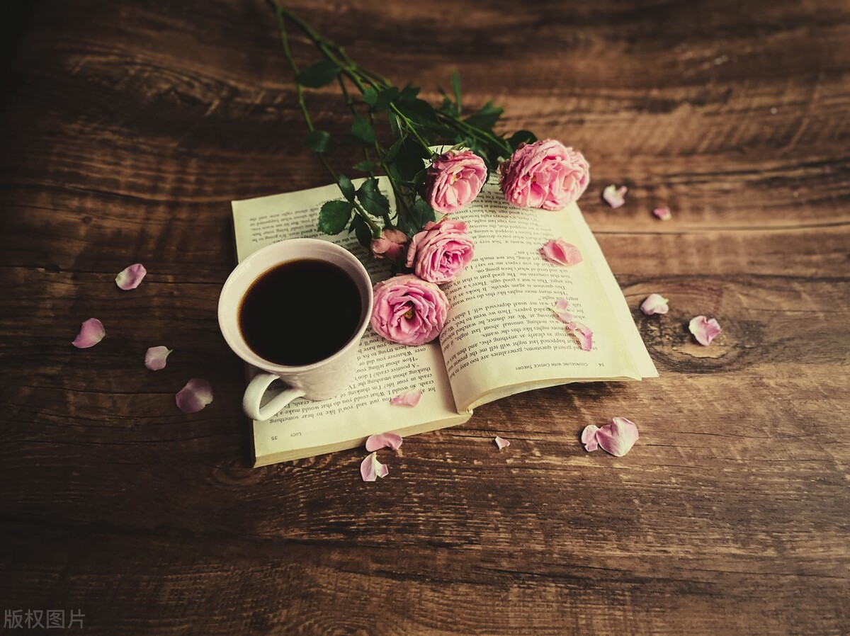 做自媒体真的是要心理强大才行,做自媒体不是一朝一夕的事情