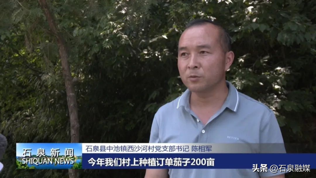 特色富硒乡村产业振兴,助力乡村经济发展富硒产业