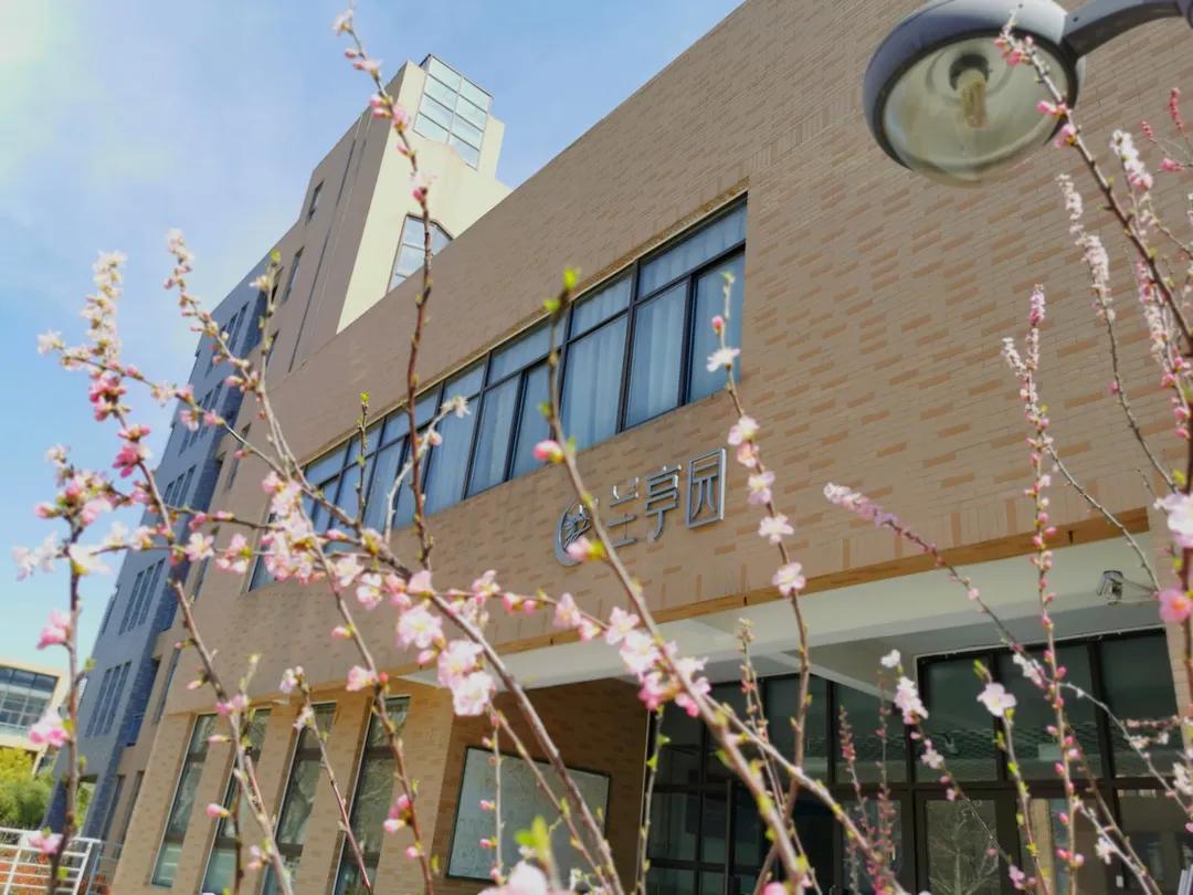 来到农大的心得体会,农大心得