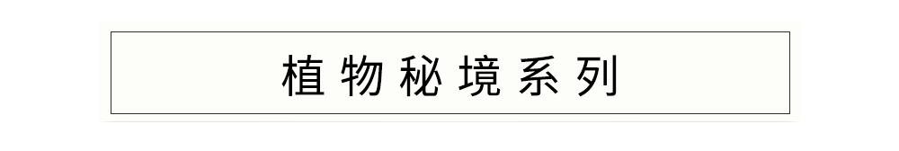 阿蒂仙大陆首店，在自然奇遇中打开香氛记忆
