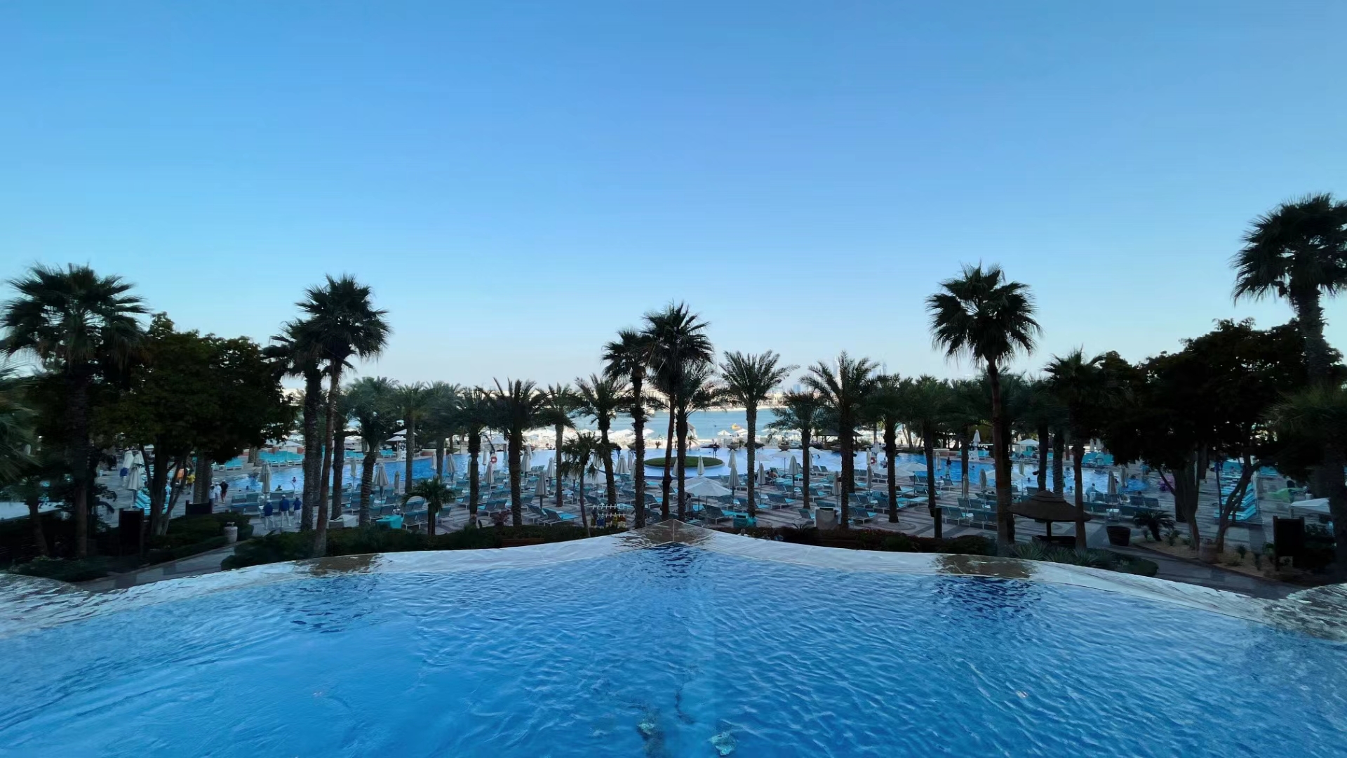 金五盟海外问卷调查涉嫌违法吗,金五盟问卷