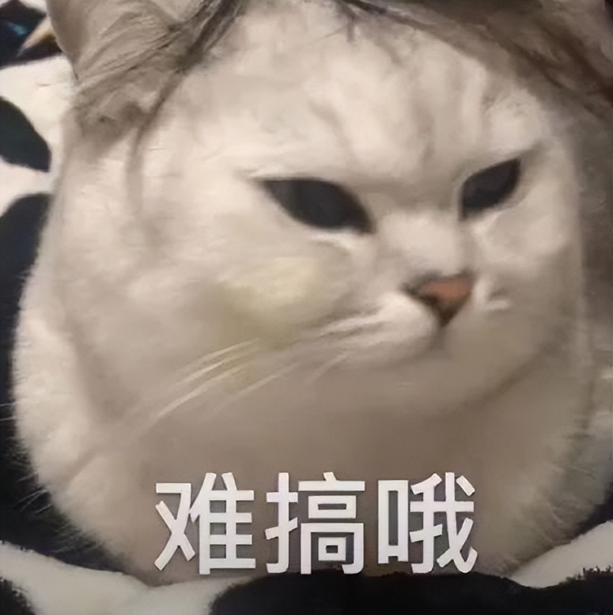 懒得做饭懒得点外卖,懒得做饭点个外卖