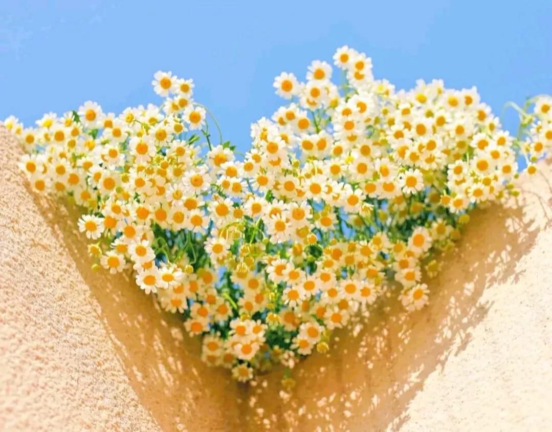 爱情文案浪漫暖心高级文案,建筑专业的浪漫文案