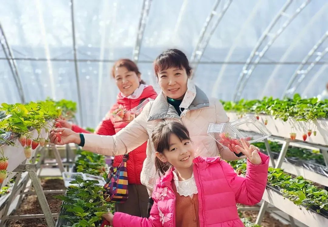 逛吃逛吃歌曲,逛吃逛吃