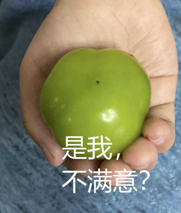 水果中的爱马仕多少钱,高端水果中的爱马仕