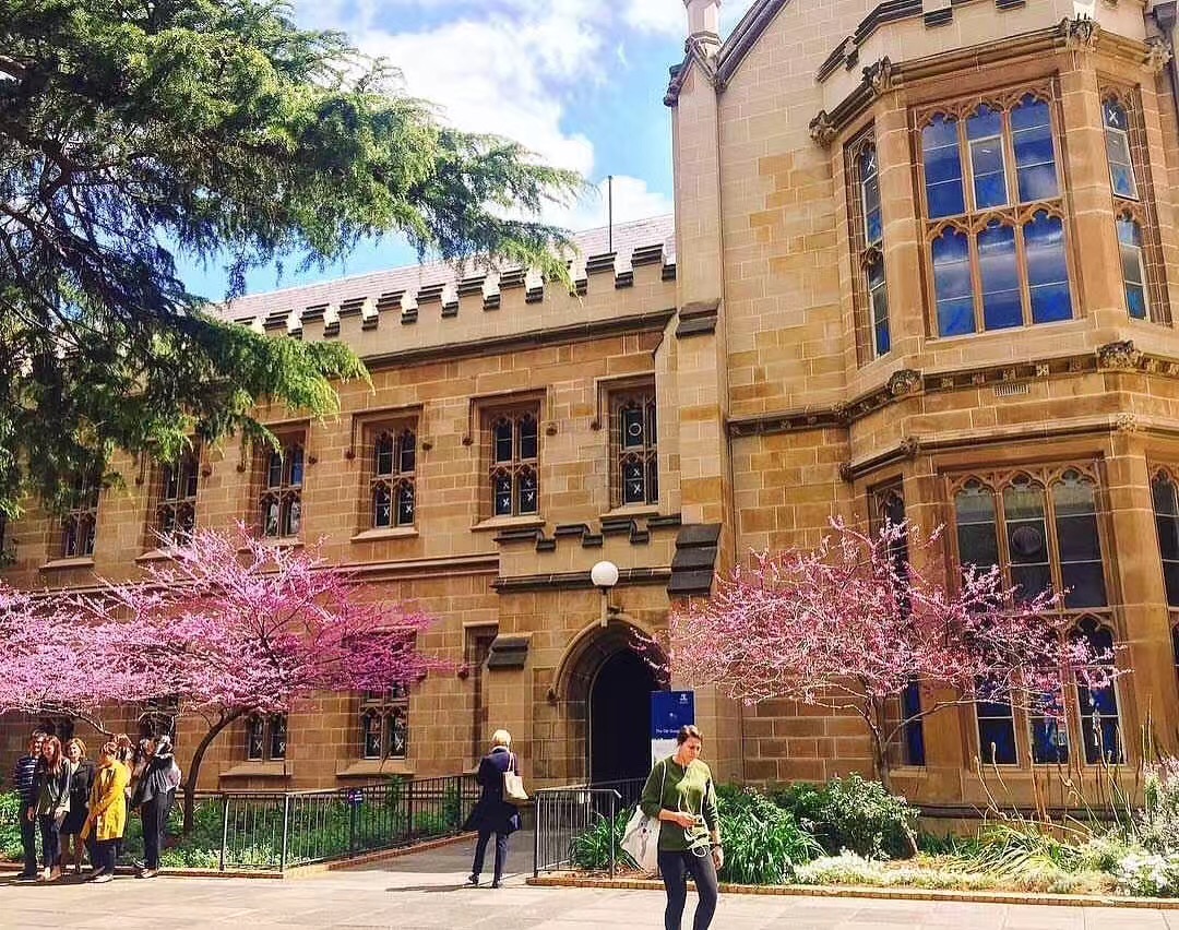 澳洲3年600多次签证弊端,澳洲500学生签证续签攻略