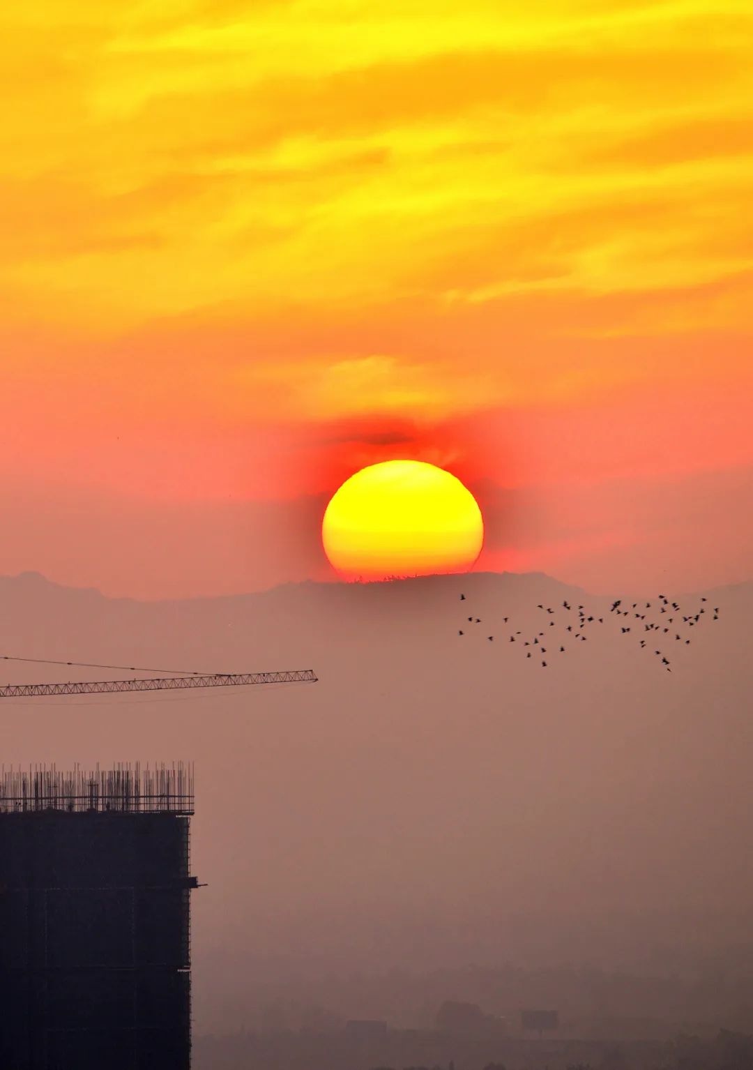 成都向上最新信息,年度向上力量合照