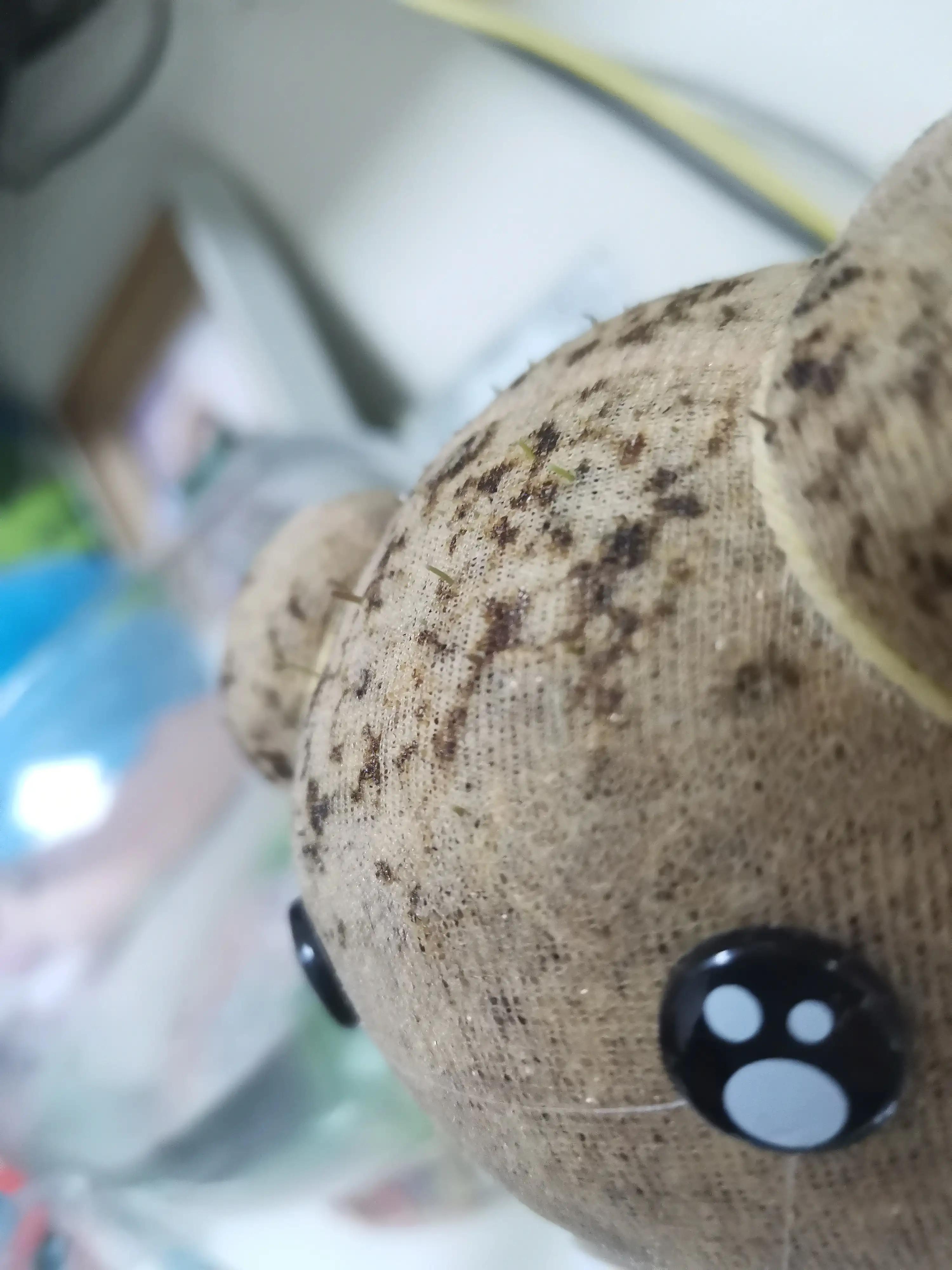 草娃娃沉不下去怎么办,草娃娃长出虫子是什么原因