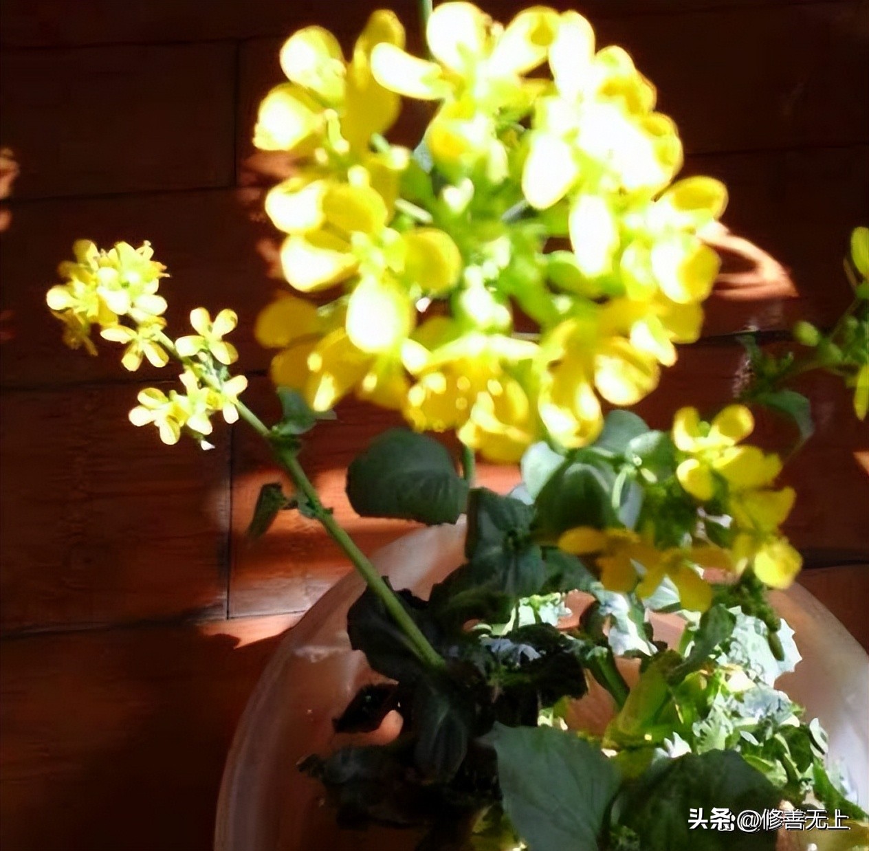 请人吃饭会消除自己的福报吗,别人请你吃饭谨记这三点