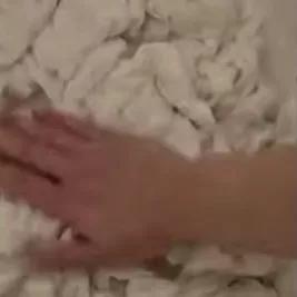 萨摩耶冬天围巾,萨摩耶洗完澡掉毛严重的原因