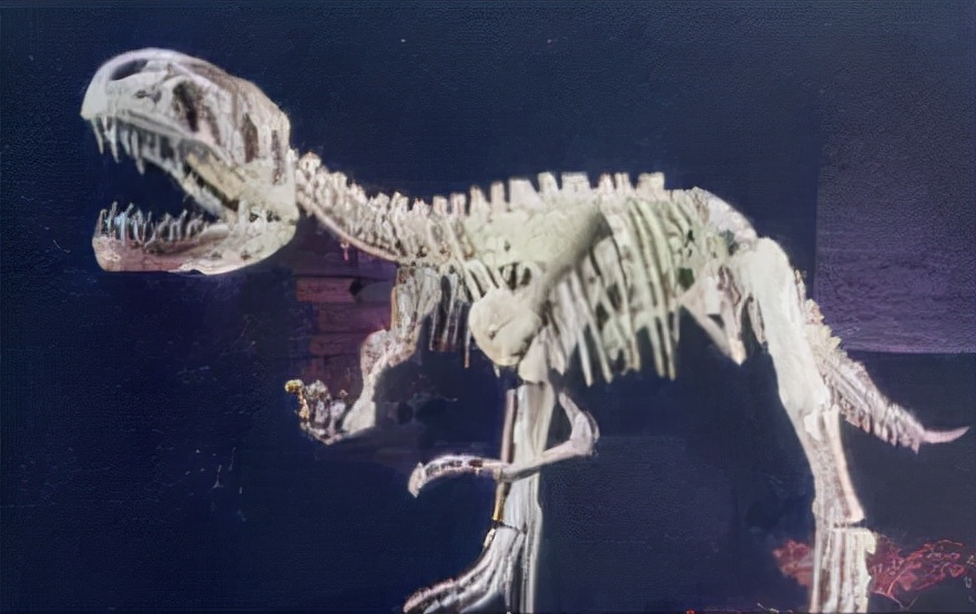 恐龙世界认识史前各种恐龙,食草恐龙和食肉恐龙科普视频