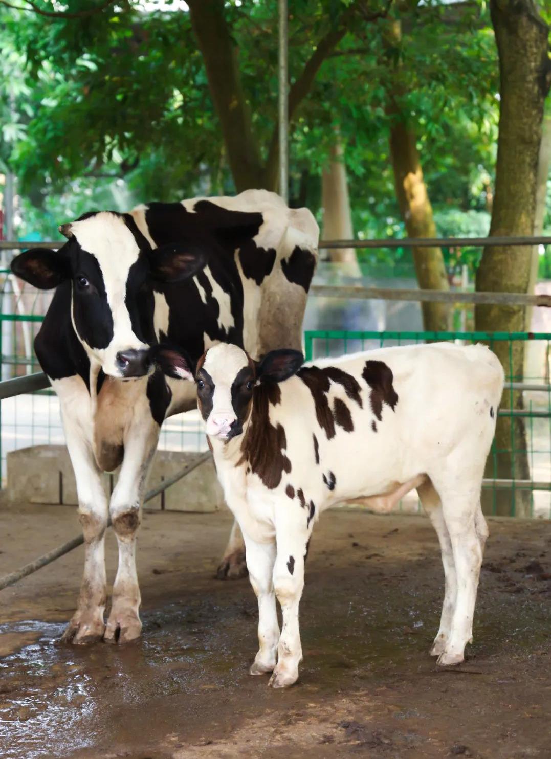 六一童真之旅,欢乐过六一儿童创意作品