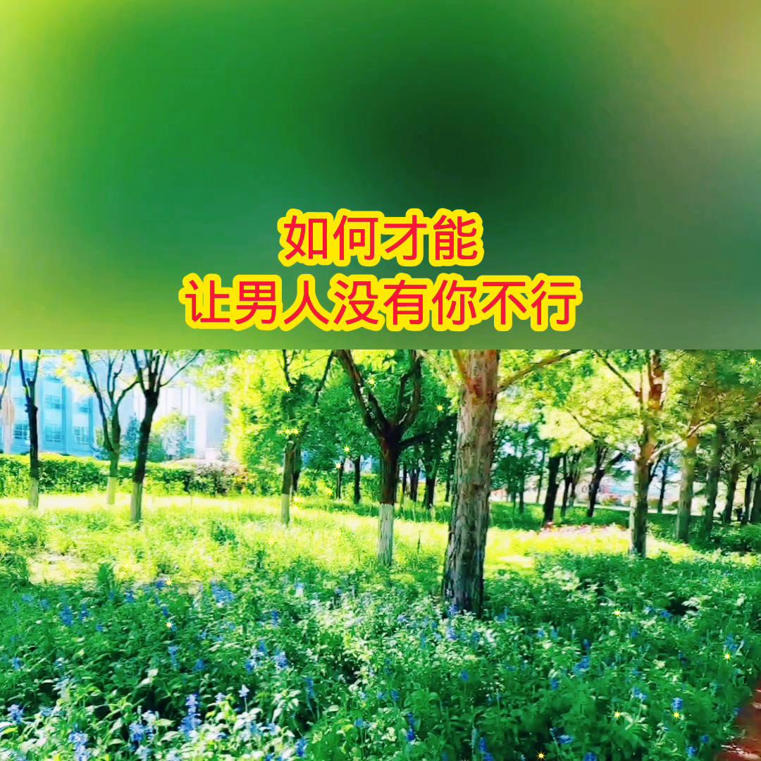 情感调解节目全部,情感电视剧连续剧免费看