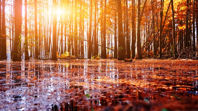 哲理小故事大道理短句10字,给孩子读的哲理小故事大道理