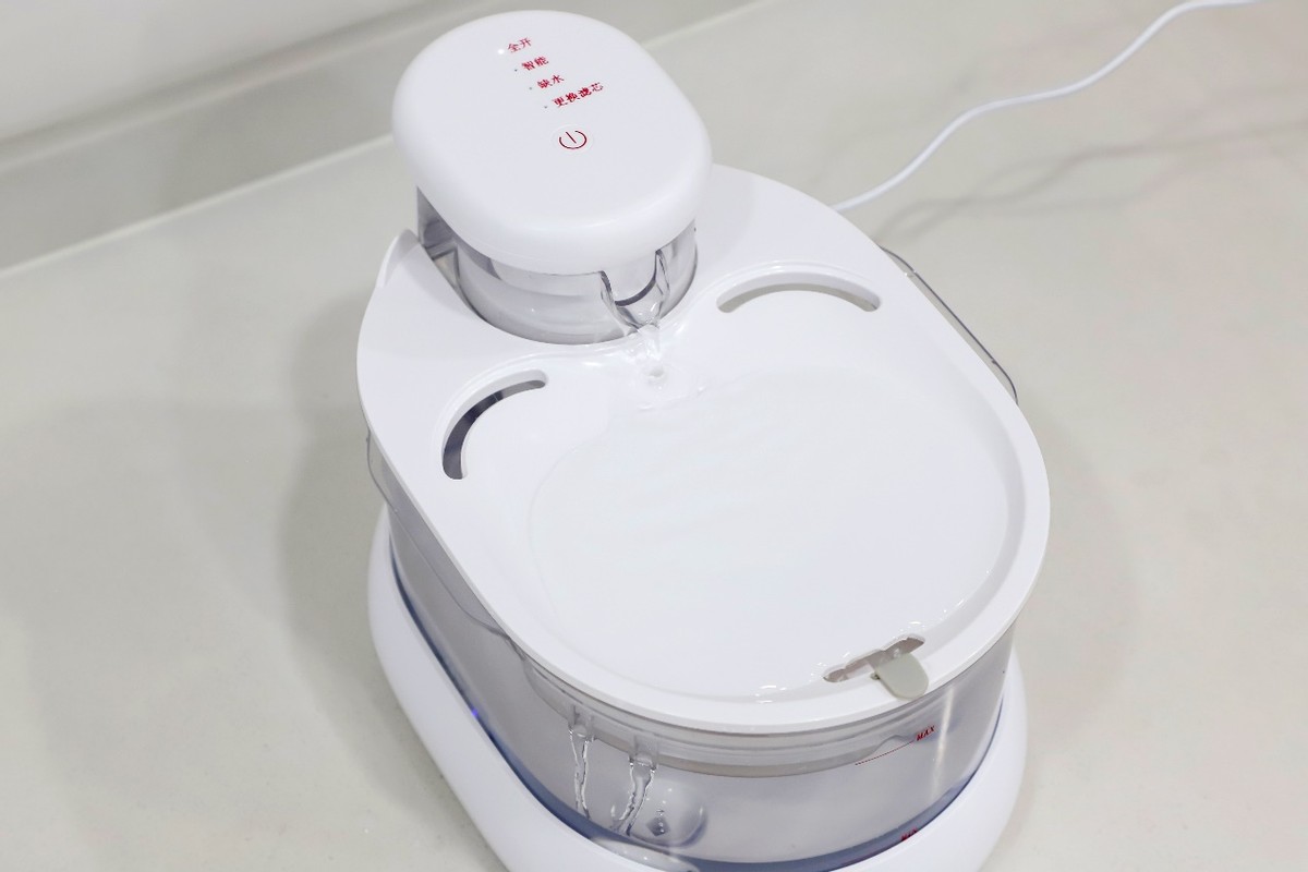 各种品牌宠物自动饮水机测评,安全宠物饮水机测评