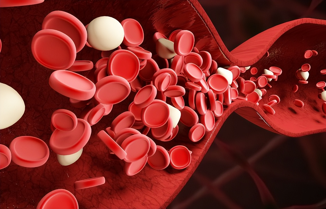 西地那非和五子衍宗丸哪个效果好,吃五子衍宗丸好还是西地那非好