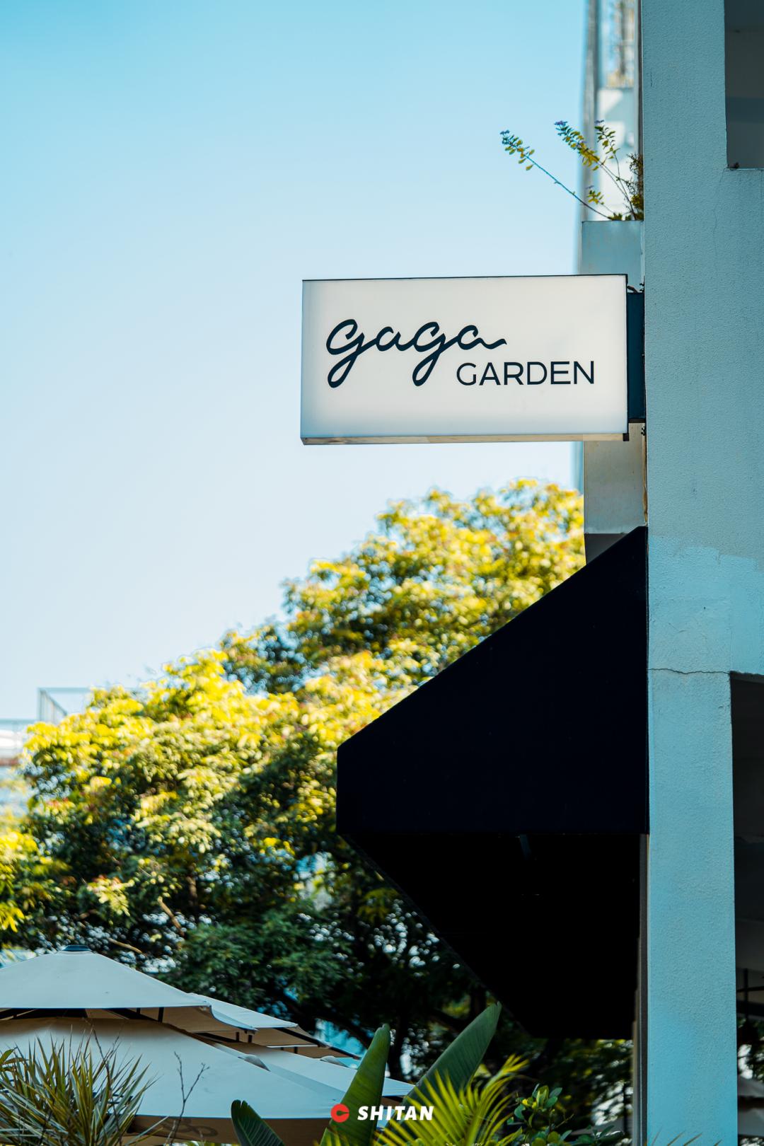 gaga平价,gaga优惠