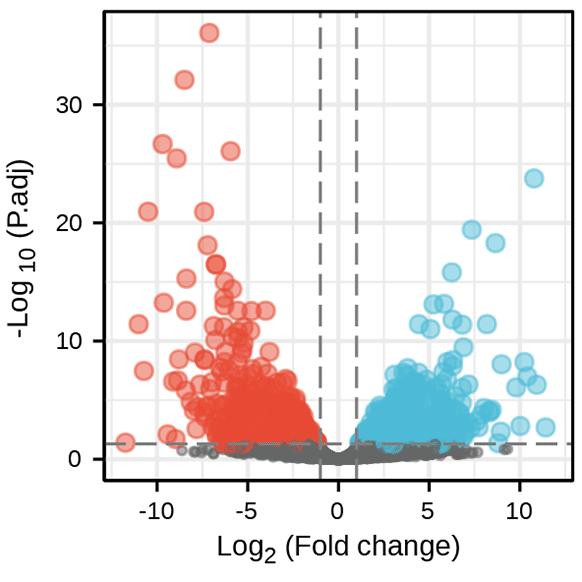 生信分析的工具,生信分析神器