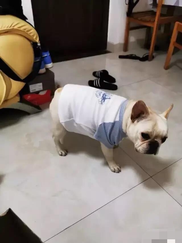 男孩给女孩买卫生巾搞笑视频,男生帮女生买卫生巾爆笑视频