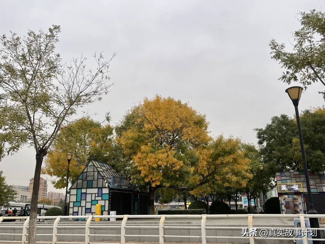 养龟人在江湖,养码人