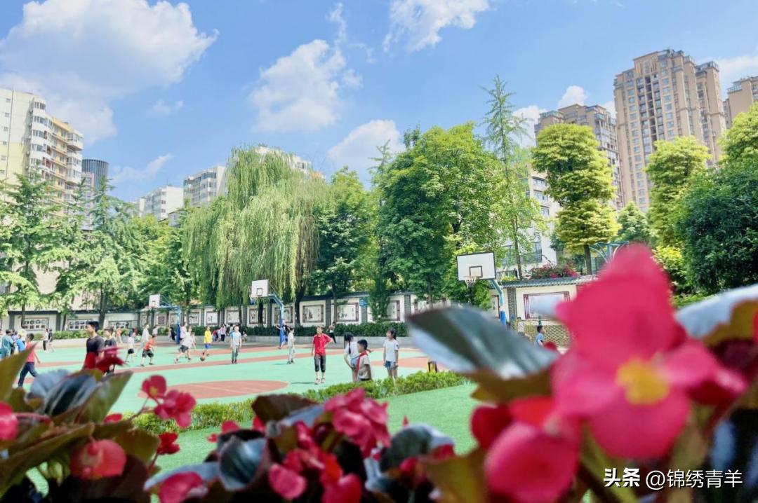 高新区教师招聘公告发布,成都青羊区教师招聘面试形式