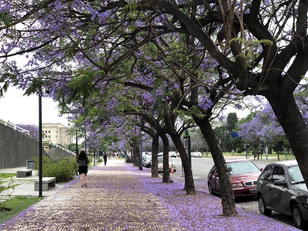 阿根廷足球真的有那么强吗,阿根廷足球为何如此强大