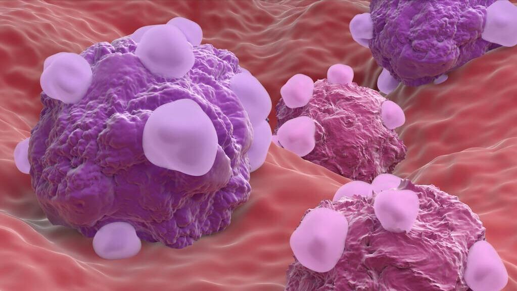 补肾固胎汤配方,温经汤和补肾助孕方哪个好