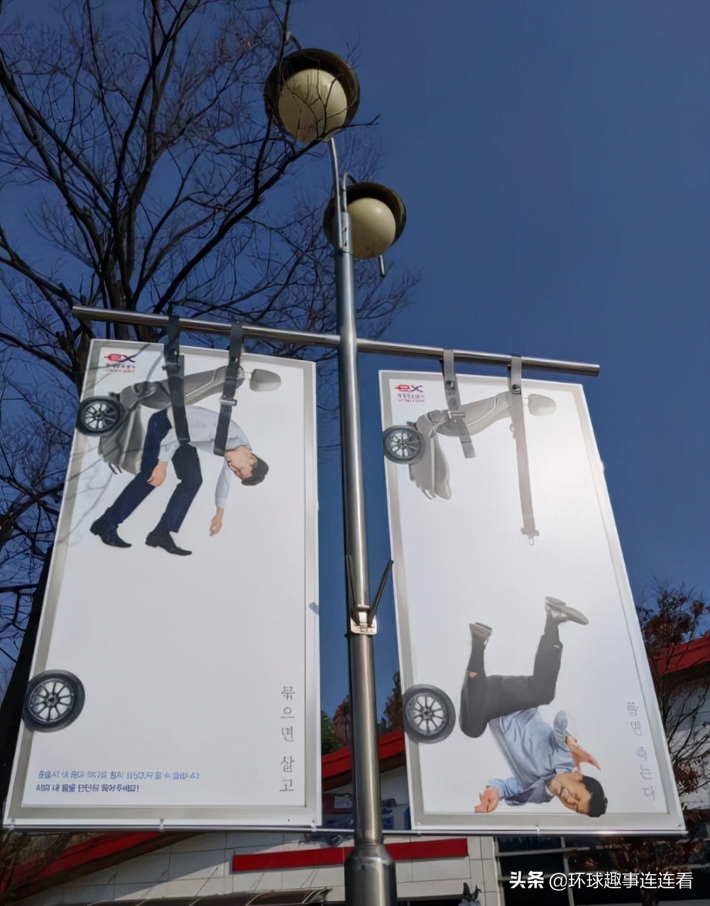 50张惊艳世界的图片,100张颠覆三观图片