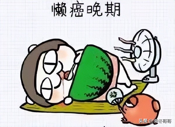 家用吸尘器排行榜2023,2022年吸尘器推荐家用测评