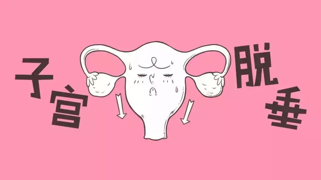 女人绝经后子宫脱垂是怎么回事,女性老了之后子宫会从哪里掉出来