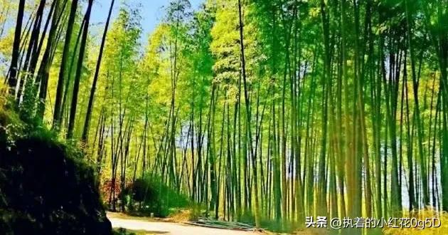 对联收集以及对联知识,对联知识42字