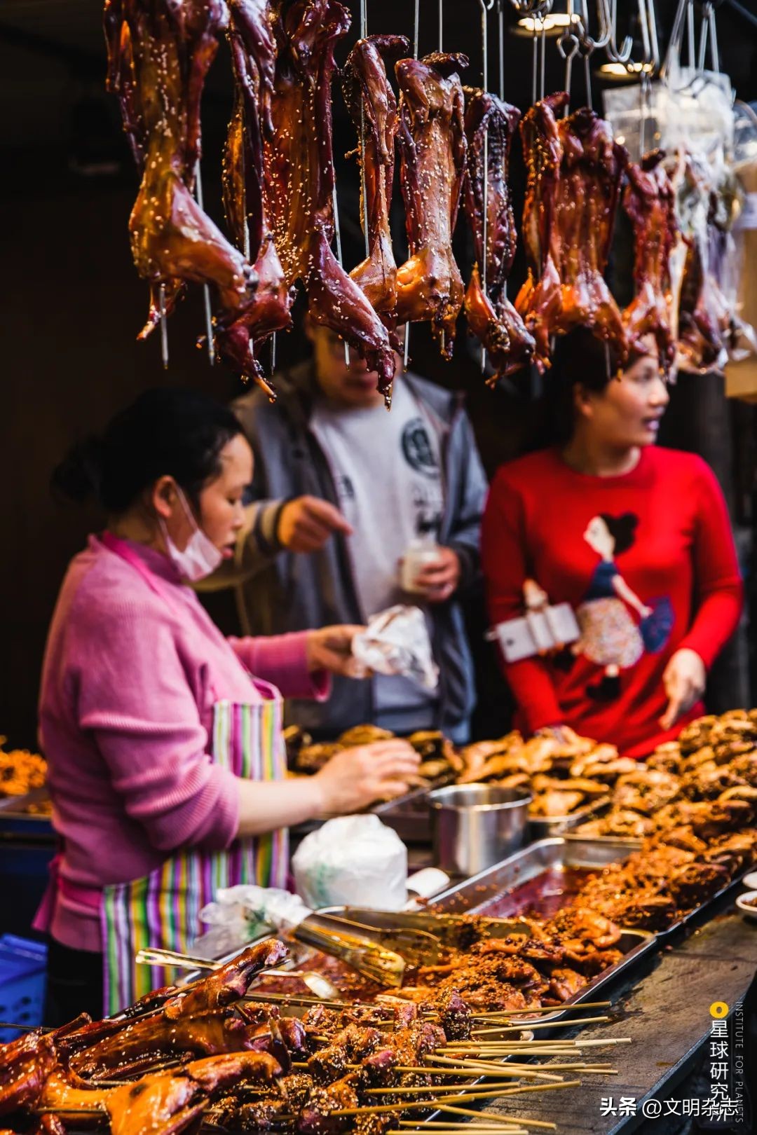 兔子来阳台,兔子来到新家