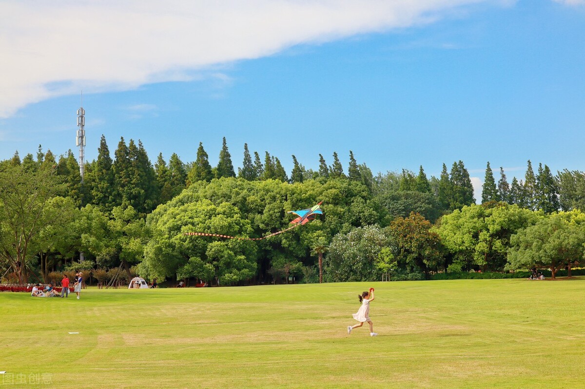 上海附近的森林秘境,上海惊现的森林秘境