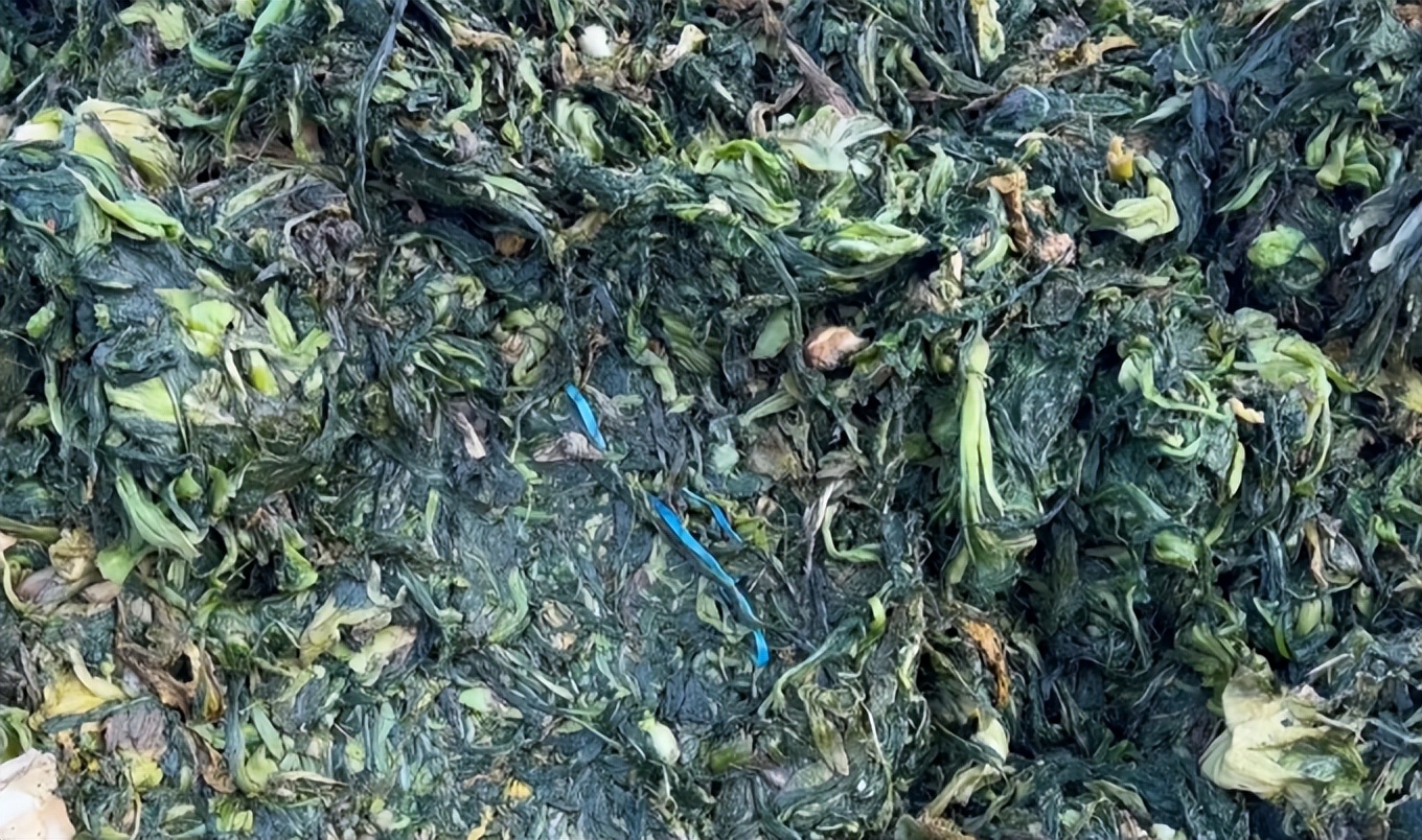 聚焦315消费者权益日橄榄菜案例,315曝光的橄榄菜是怎么回事