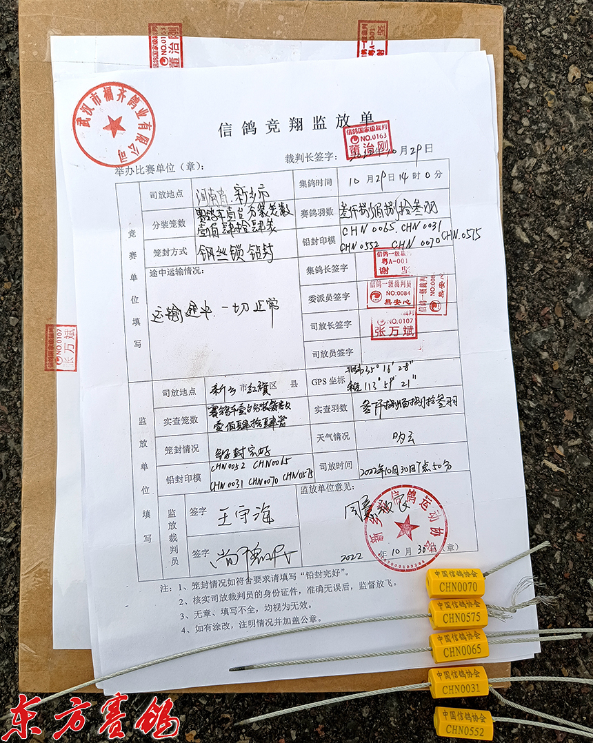 武汉福齐获奖鸽,2019武汉福齐国际集鸽名单
