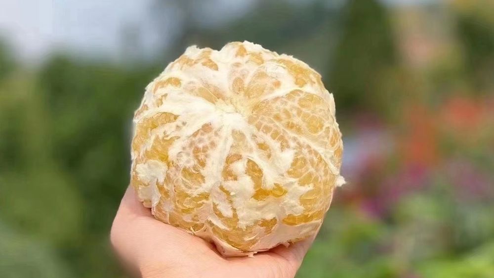 开水果店的技巧和经营模式,开一家水果店需要具备哪些条件