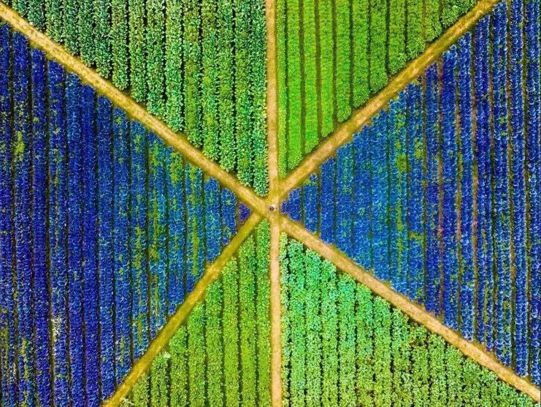 鼓浪屿可以当天预订船票攻略 (鼓浪屿还有免费的船票吗)