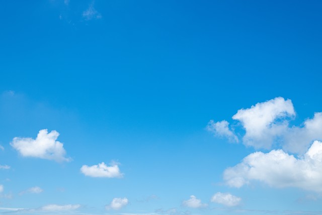 生蛆了（微小说）